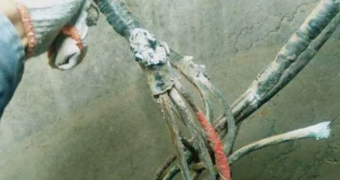 �L���^ؓ(f��)���\(y��n)��