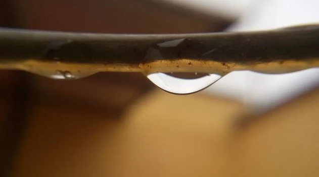 ��|�ܳ������p��